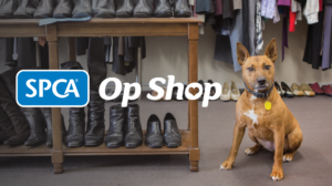 OSNZ Listing New 5 | Op Shops