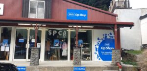 QTN2 | Op Shops