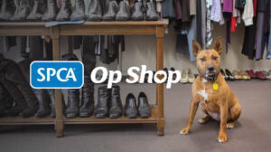 OSNZ Listing Image 16 | Op Shops